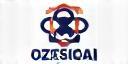 Logo Czech Volunteers